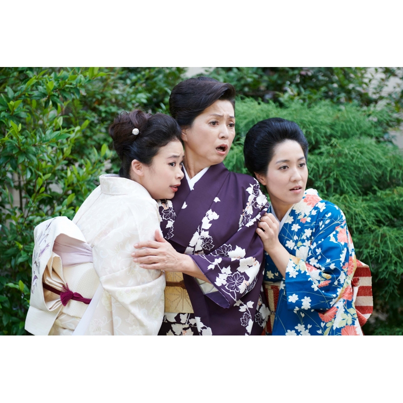 僕とシッポと神楽坂 Blu-ray-BOX | HMV&BOOKS online - HPXR-333