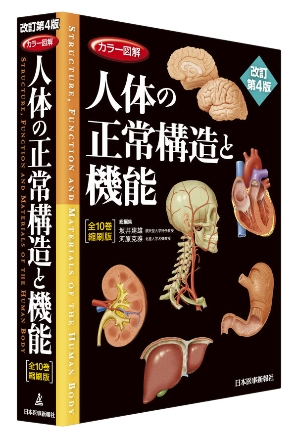 カラー図解 人体の正常構造と機能 全10巻縮刷版 坂井建雄(編) - 日本