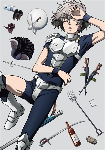 BD&DVD&CD｜TVアニメ「十二大戦」公式サイト