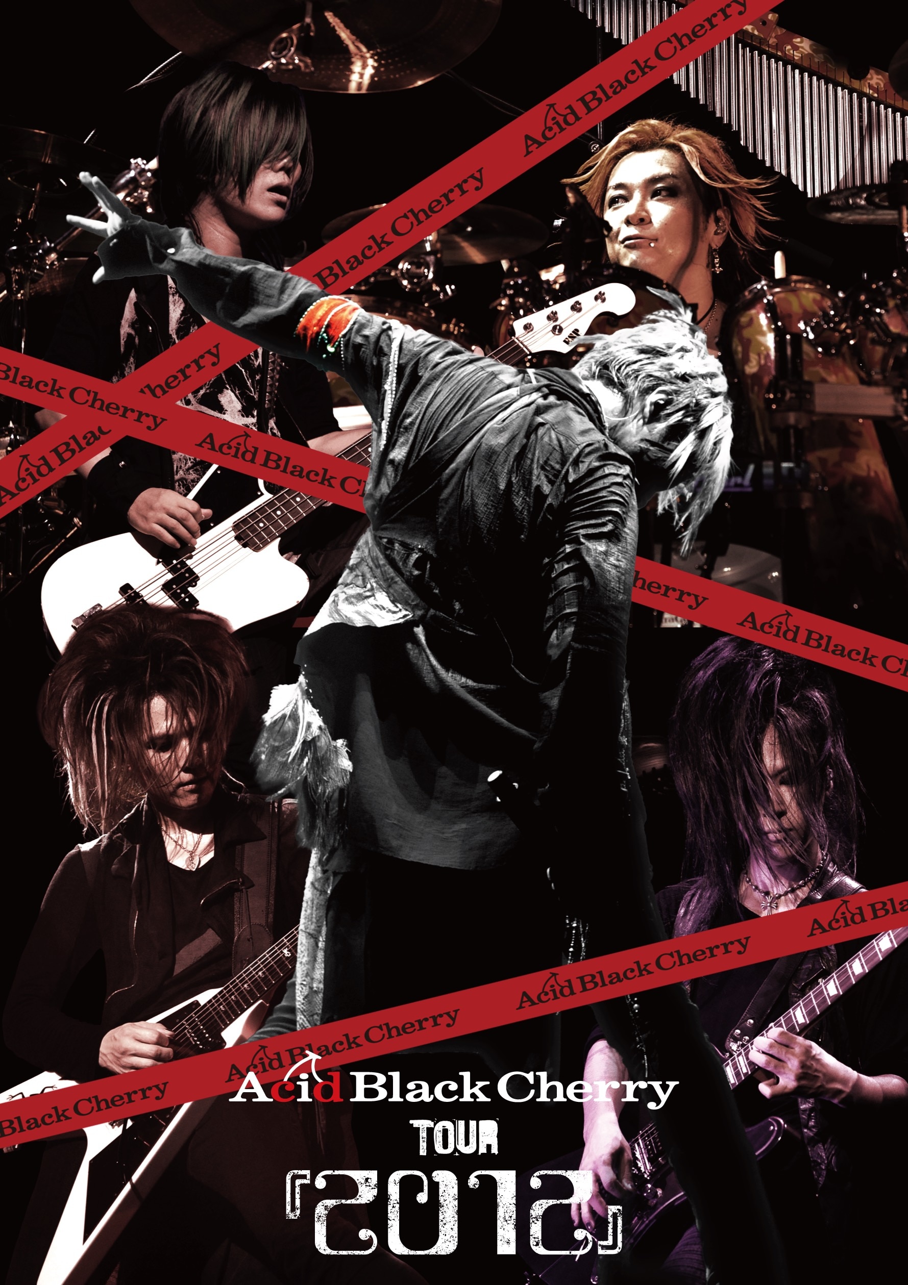Acid Black Cherry Live Acoustic Album ～君がいるから