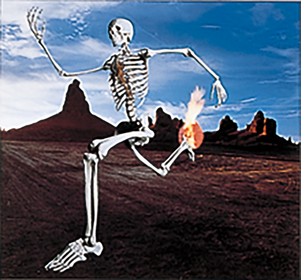 進化論 | ディスコグラフィー | SOPHIA | アーティスト・作品