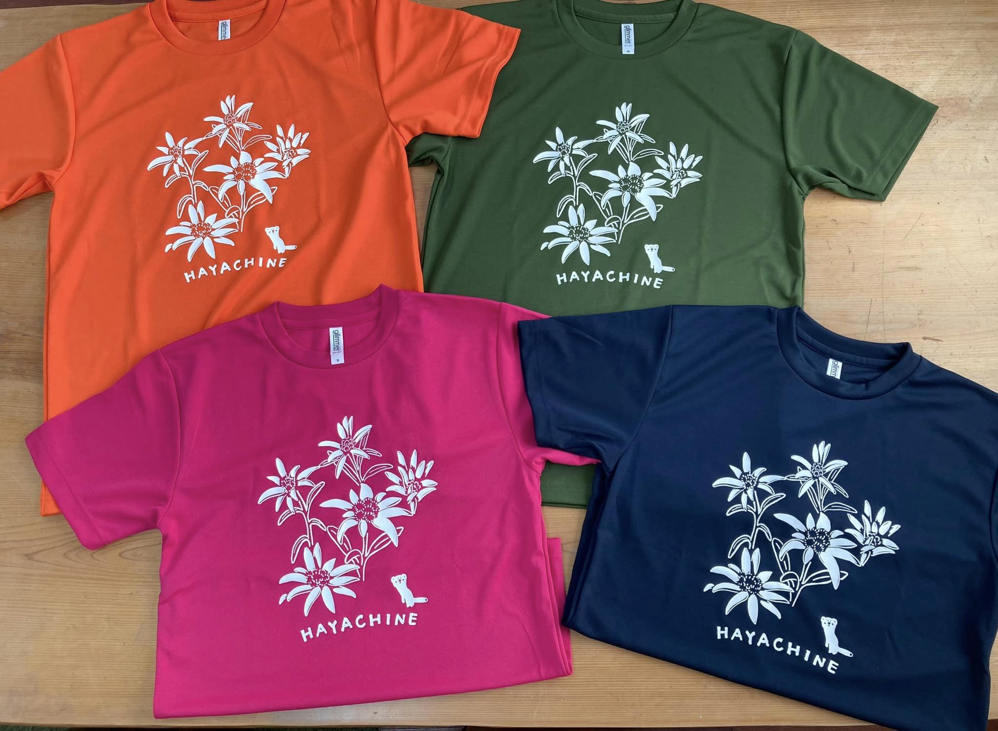 田舎labo 🧪 HAYACHINEシリーズ