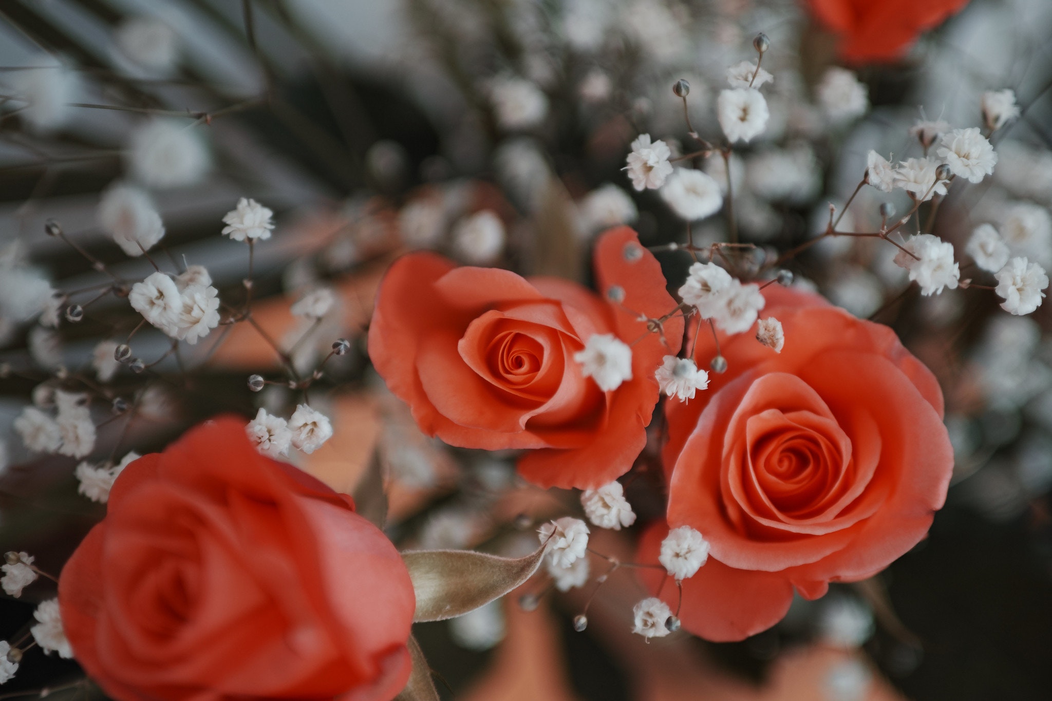 SIGMA 30mm F1.4 DC HSM｜Art [ニコン用]を徹底解説。作例からレビュー