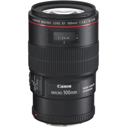 Canon EF100mm F2.8Lマクロ IS USMを徹底解説。作例からレビューまで