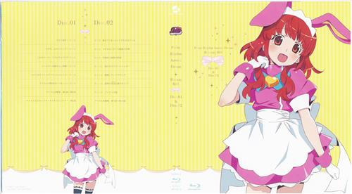 プリティーリズム・オーロラドリーム アナザージャケット BOX 1 Ver