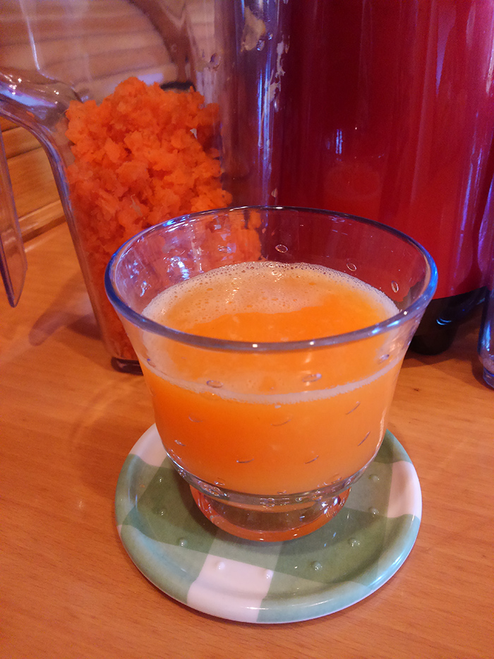 siroca「スロージューサー SSJ-110」モニター報告 | Monitor