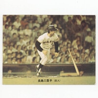 カルビー プロ野球カード 1973年度版 №214 木俣達彦