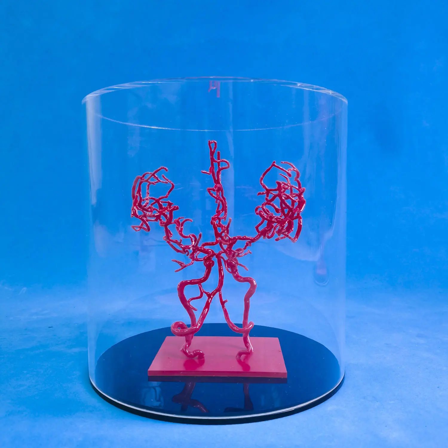 脳血管模型 - YZ002 - Trando 3D Medical Technology - 医療訓練用