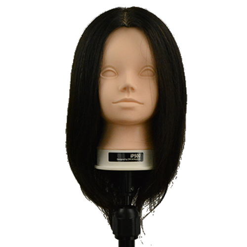 カットウィッグ ip200sNG 2体 カットウィッグ ip200sNG 2体 カット