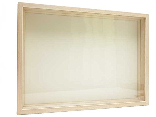 昆虫標本箱のおすすめ人気ランキング【2026年2月】 | マイベスト