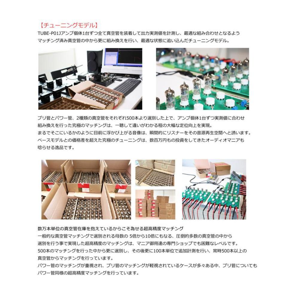 FX-AUDIO 真空管プリメインアンプ | TUBE-P01J シルバー - コイズミ
