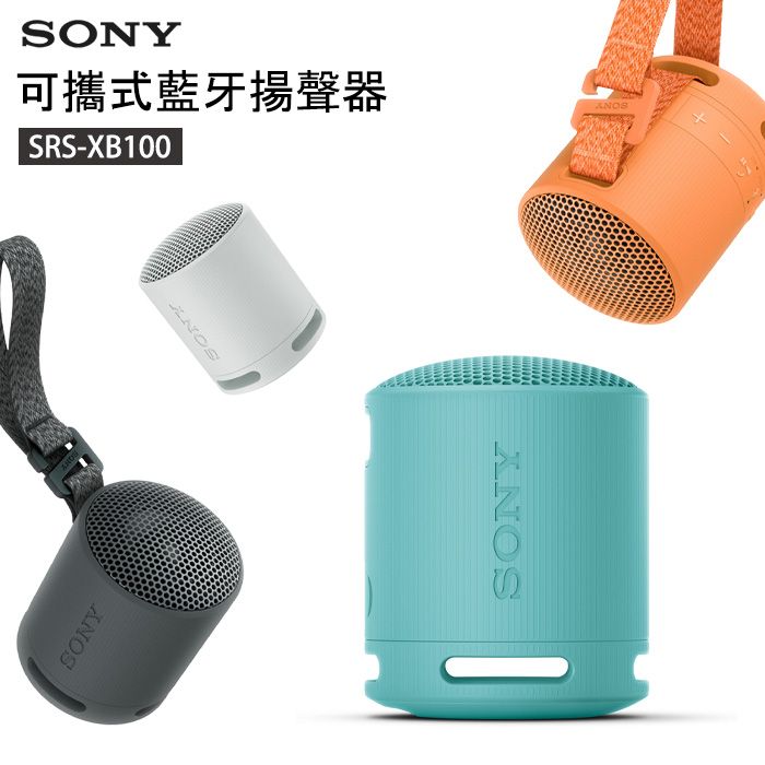 SONY SRS-XB100 2色セット SONY SRS-XB100 2色セット