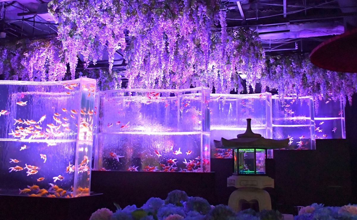 アートアクアリウム美術館 GINZA】光と花に包まれる華麗な“紫”のアート