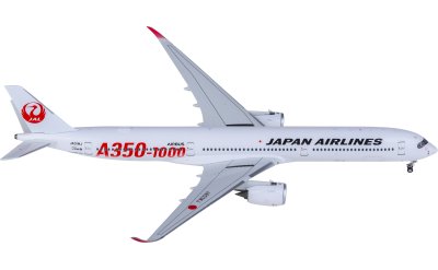 PH04643 Japan Airlines Boeing 737-800 JA317J Phoenix 1:400 -飞机