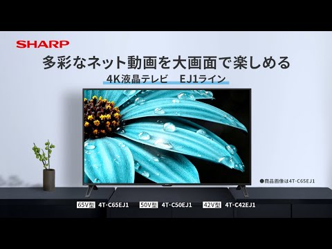 液晶テレビ AQUOS(アクオス) AQUOS(アクオス) 4T-C42EJ1 [42V型
