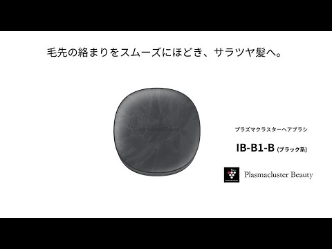 IB-B1B プラズマクラスターヘアブラシ Plasmacluster Beauty