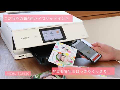 TS8530 インクジェット複合機 PIXUS ブラック [カード／名刺～A4