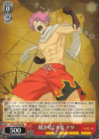 フェアリーテイル8宝紹介 | トレカの買取・通販ならカードショップ