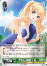 デッキ紹介 8扉サマポケ | トレカの買取・通販ならカードショップ -遊々亭-