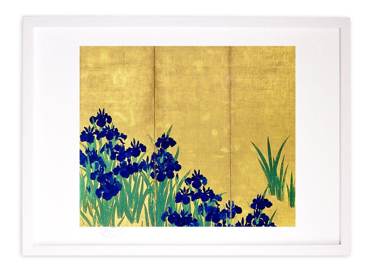 版画 絵画 名画 日本画 燕子花図 左隻右側 尾形光琳 インテリア 壁掛け