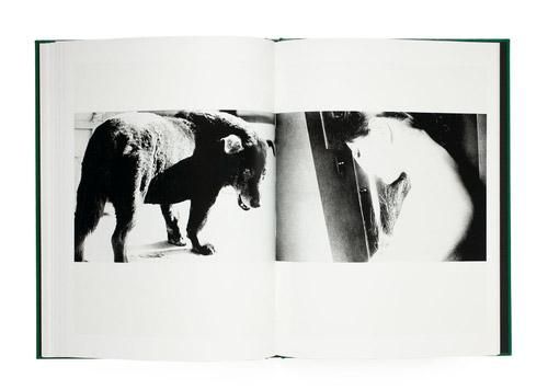 森山大道 | Daido Moriyama: A Hunter