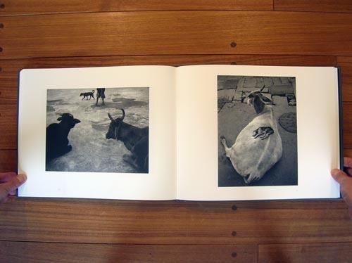 Here Far AwayPentti Sammallahti - BOOK OF DAYS ONLINE SHOP