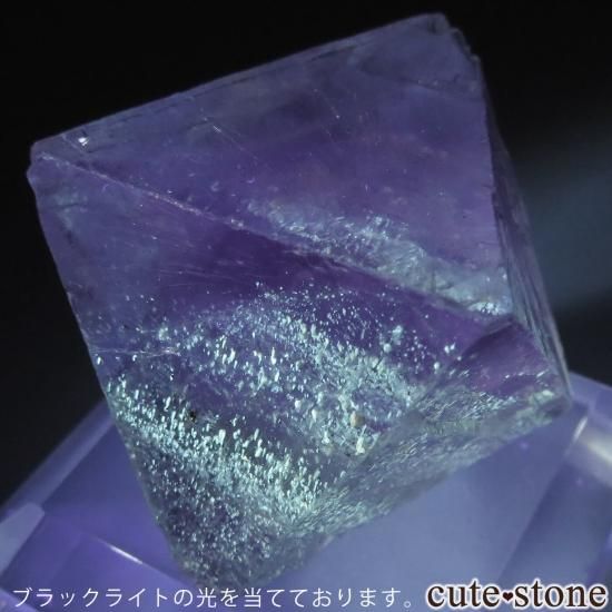 アメリカ イリノイ州 Cave-in-Rock産 八面体（へき開結晶）オイル入り