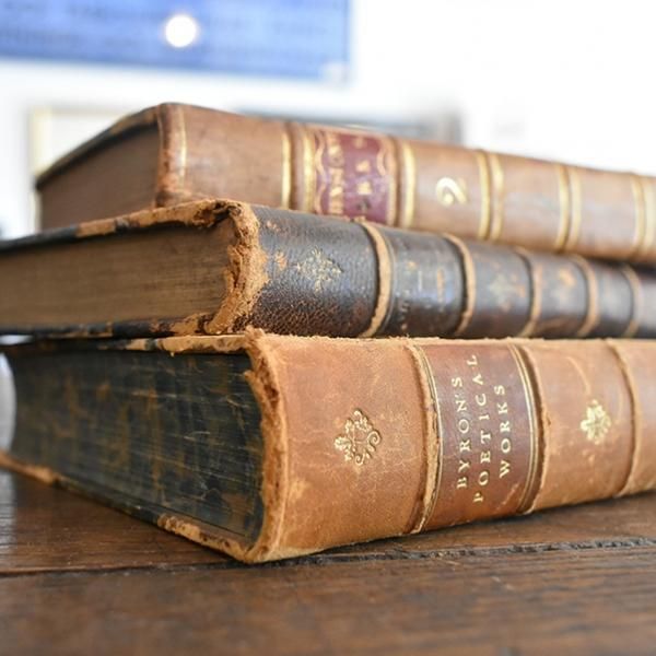 white 洋書 book フランスアンティーク イギリスアンティーク 【公式通販】