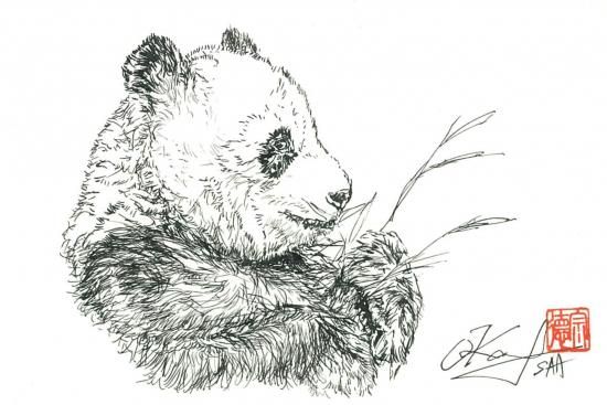 2025年3月応援感謝企画】 ペン画 パンダA - atelier-mansell