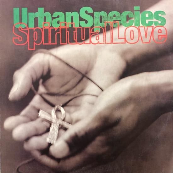 Urban Species / Spiritual Love - SLASH RECORD
