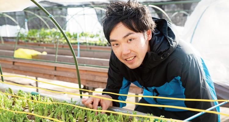 タラの芽のブランド『真だら・もちタラ』にチャレンジする合同会社太良