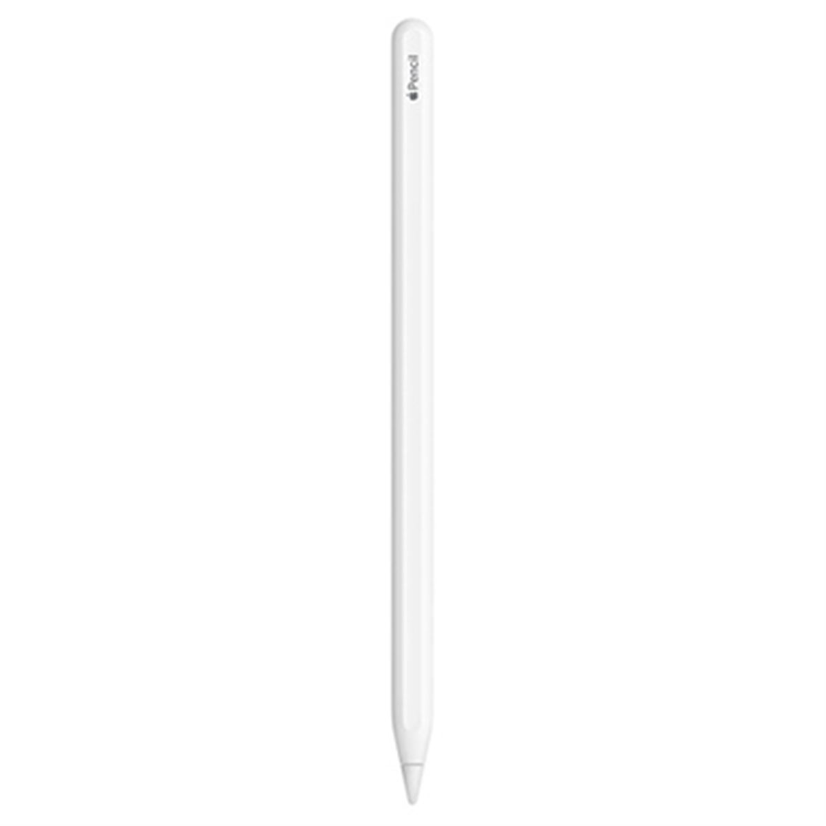 アップル、“側面充電”に対応する第2世代「Apple Pencil」 - 価格.com