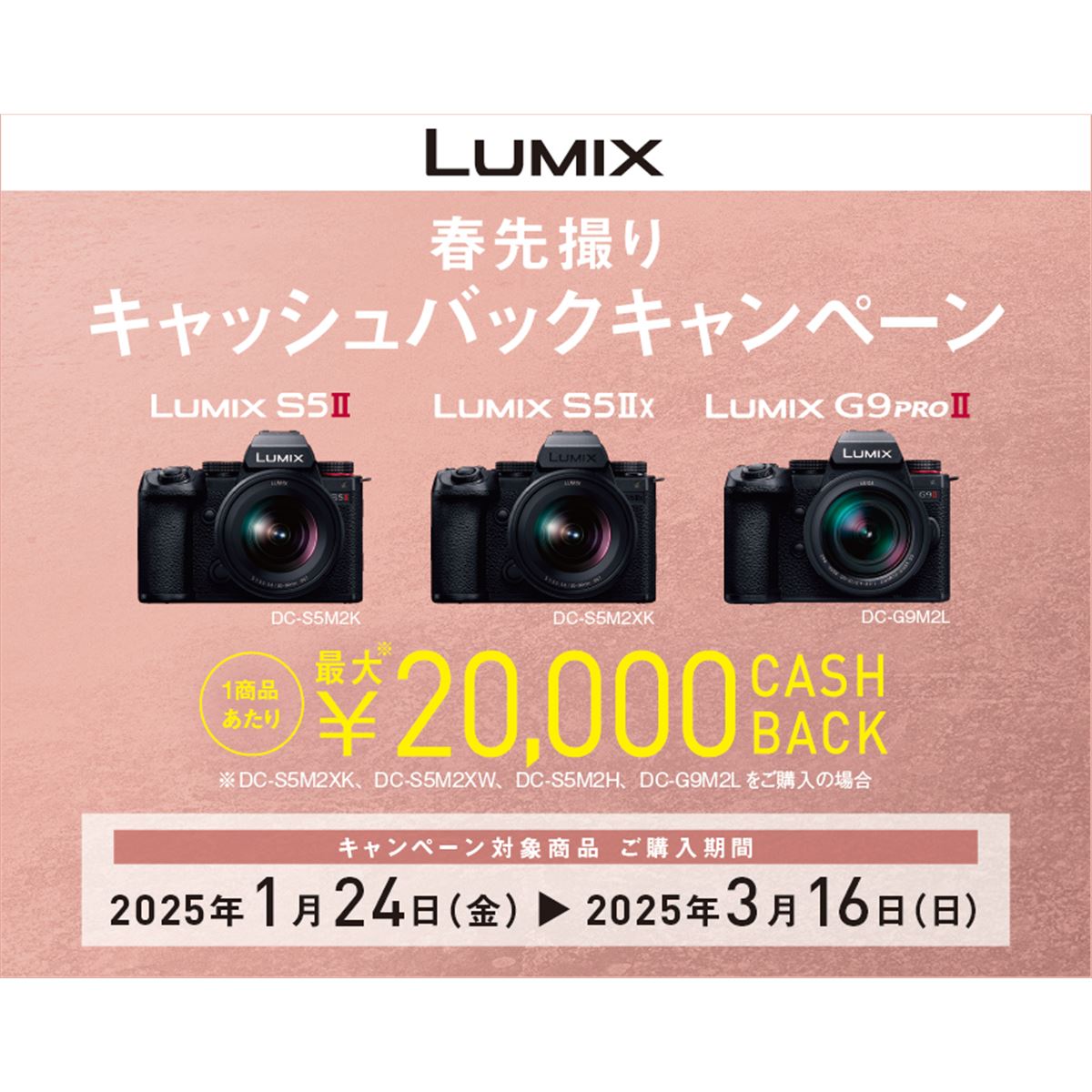 値引き中！交渉ありパナソニック LUMIX