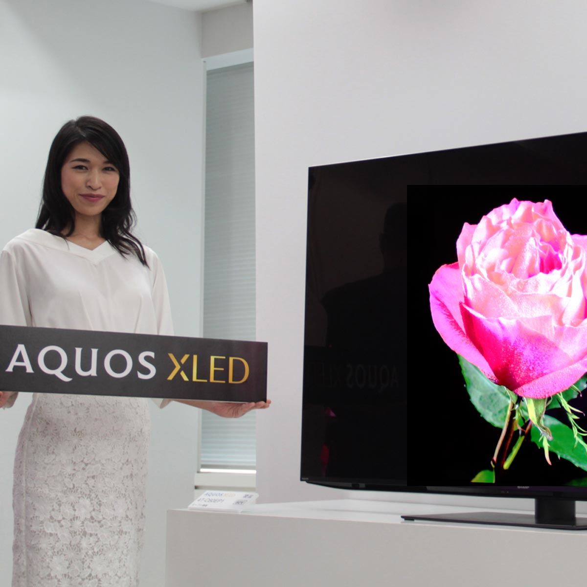 AQUOS史上最高」の輝きと色再現、「EP1」ライン - 価格.comマガジン