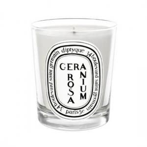 正規通販】diptyque キャンドル VIOLETTE(スミレ) ディプティック