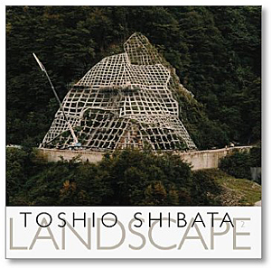 柴田敏雄： Landscape 2