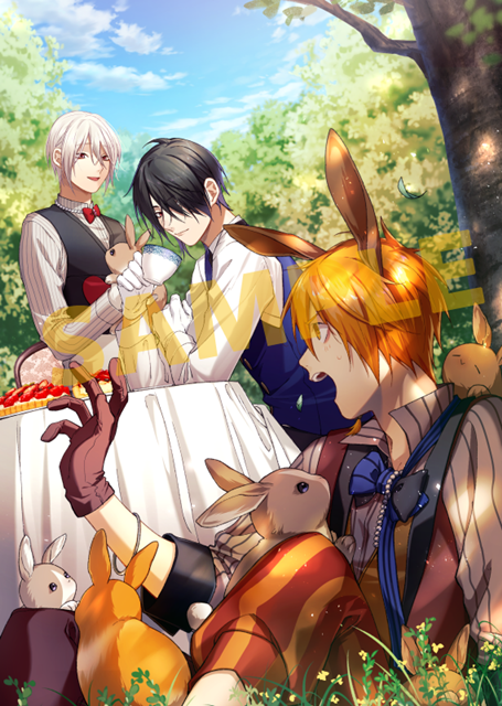 ゲーム『白と黒のアリス for Nintendo Switch』アニメイト限定セットを