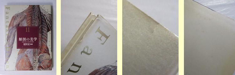 ファンタスティック12《Fantastic Dozen》 全12巻揃 編：荒俣宏 リブロ