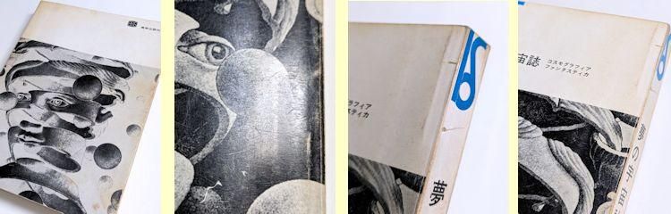 美術選書 夢の宇宙誌 コスモグラフィアファンタスティカ 澁澤龍彦 美術