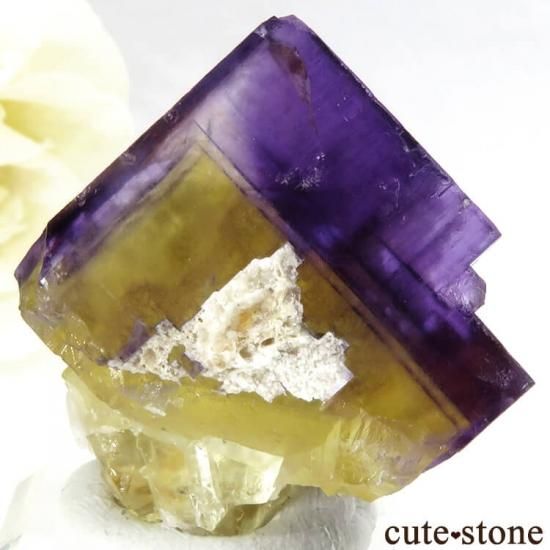 イリノイ州 Cave-in-Rock産 フローライト（蛍石）の原石 28g - cute