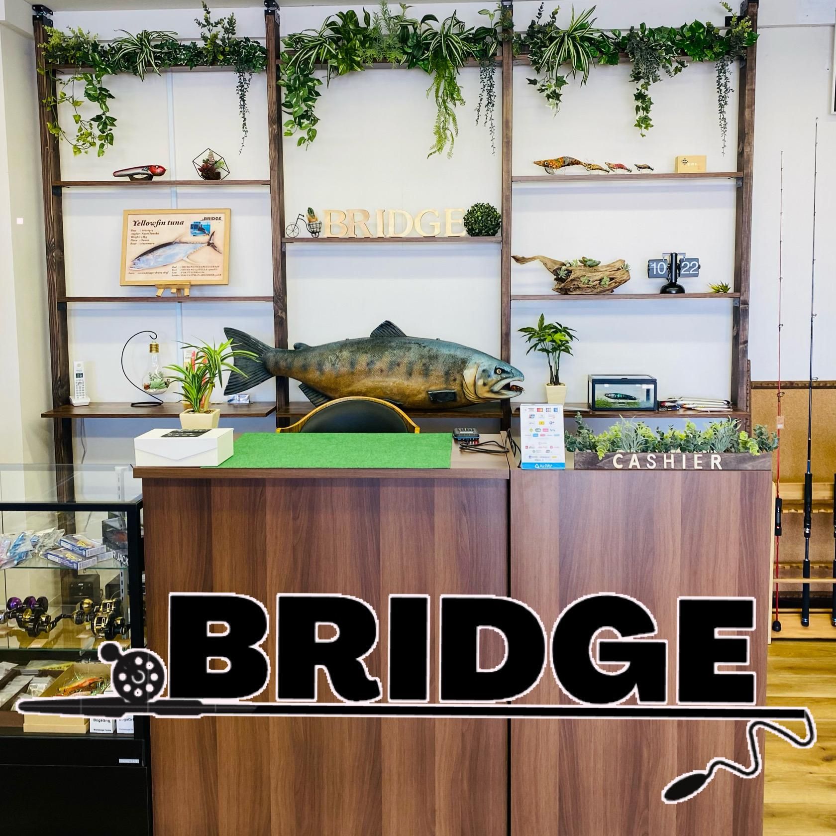 MOZカスタム580シリーズ/タカミテクノス - bridge20220401