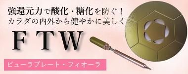 FTWフォーグセット/ 正規代理店 両手振り運動・スワイショウに