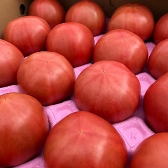 松島とまと 【4kg箱】 送料無料！！ - サンフレッシュ松島公式