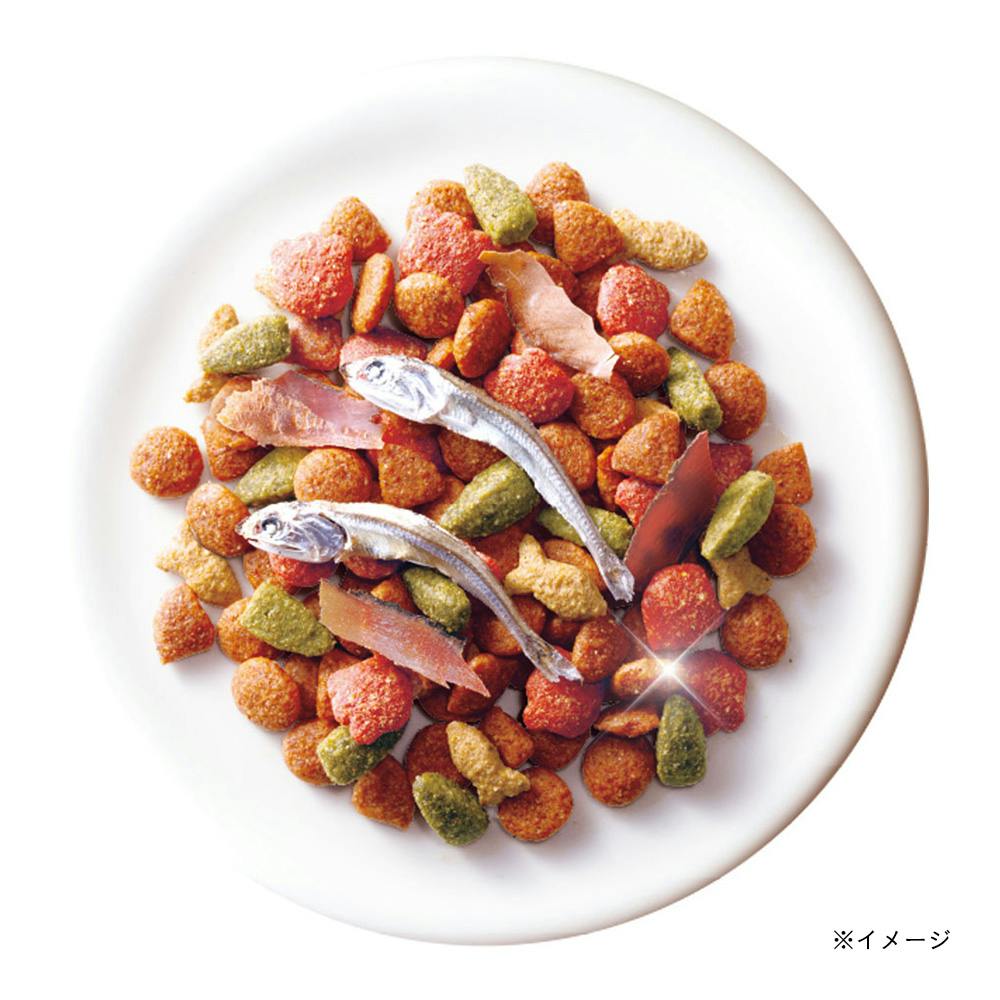 ミオコンボ連パック海の味わいメニューカツオブシ入 | キャットフード