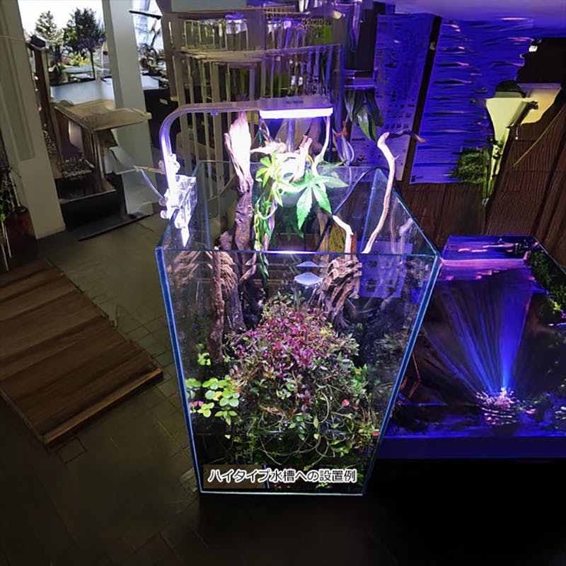 アクアシステム アクシースワンLED 10W 水草育成 4516830212415【別送