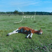 Kroi / Polyester - OTOTOY