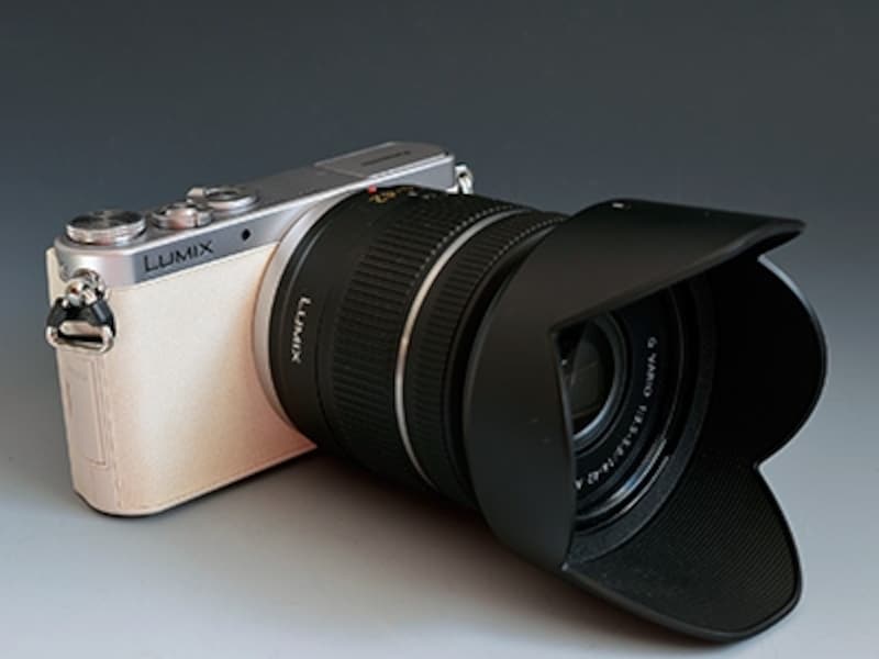 2/3 小さな巨人「LUMIX DMC-GM1」が見せた意地 [デジタル一眼カメラ
