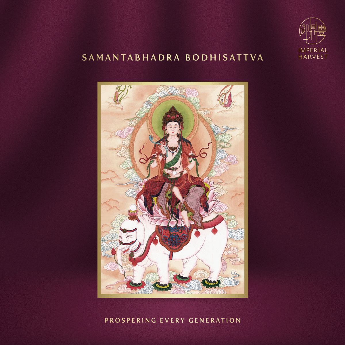 なべchan様用】GAIA PRELUDE / To Beyond Of Th なべchan様用】GAIA