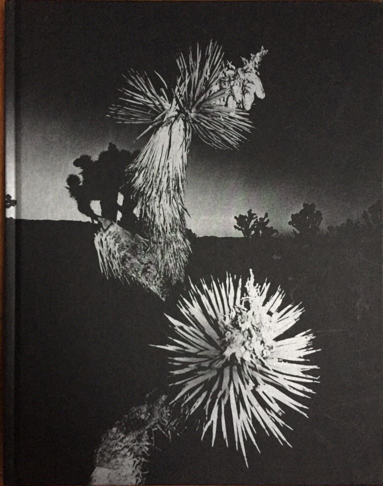 Horizon Icons – CHRIS SHAW – in)(betweengallery