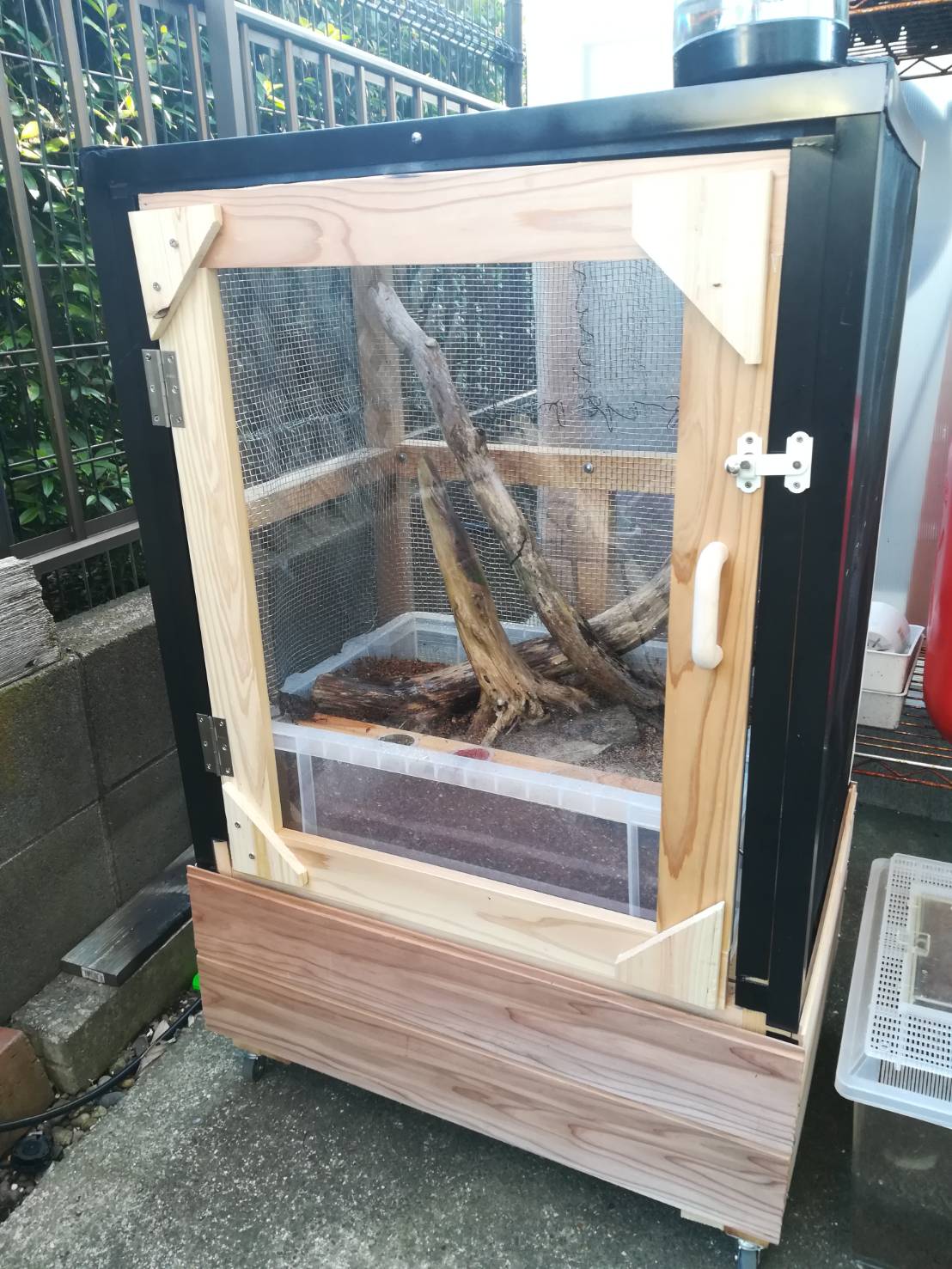 自作カブトムシ小屋にカブトムシを入れてみた！≪カブトリウム×流木